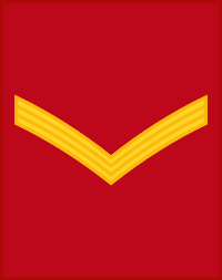 Private insignia