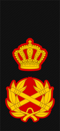 Supreme Commander insignia
